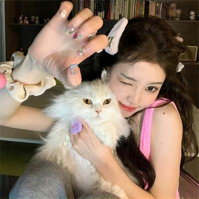 所有的猫都是灰色